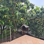 Neda Apartament