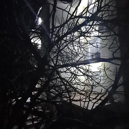 Neda Appartamento Vodice