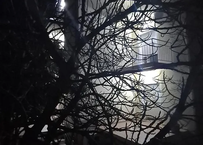 Neda Apartman Vodice